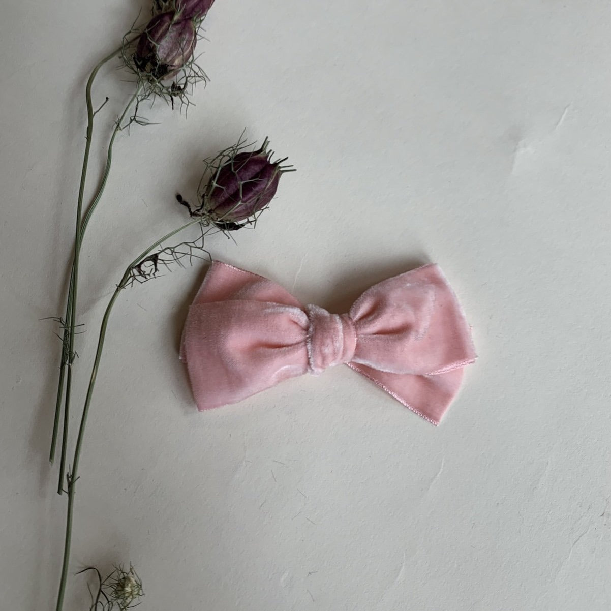 Medium Velvet // muted pink