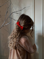 Small Velvet // Red