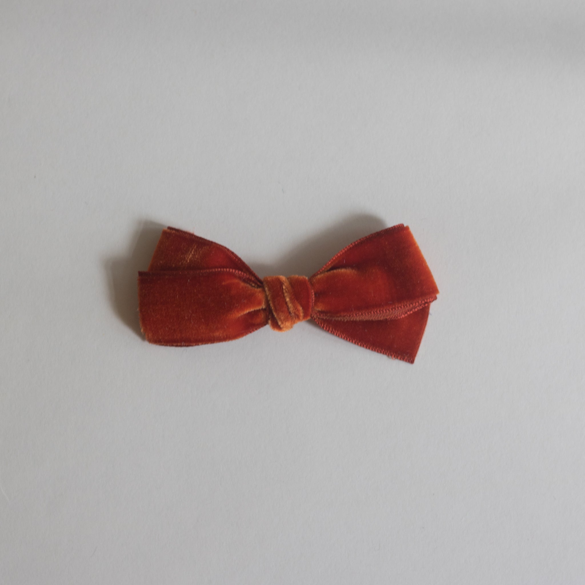 Small Velvet // spiced pumpkin